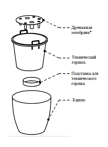 Флок Белый Кедр